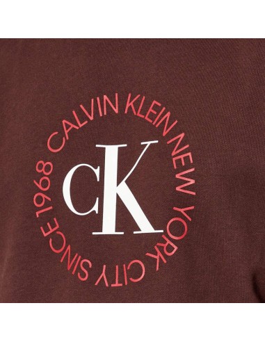CALVIN KLEIN SUDADERA LV14RE250G_MA MARRON (M)