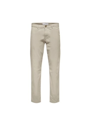 SELECTED 16087663_CRU PA (M)