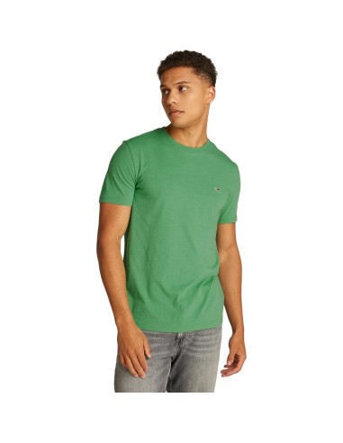 TOMMY HILFIGER CAMISETAS DM0DM20363_VER VERDE (M)