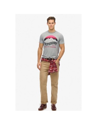 SUPERDRY CAMISETAS M1012122AKVX GRIS (M)