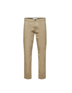 SELECTED 16087663_BE PA (M)