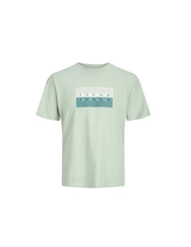 JACK&JONES 12289863_VE CT (M)